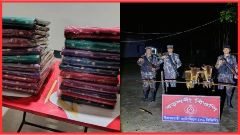 পঞ্চগড় সীমান্তে ভারতীয় শাড়ি ও গরু জব্দ, মূল্য প্রায় ৩.৭ লাখ টাকা